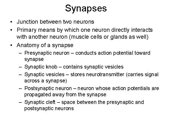 Synapses • Junction between two neurons • Primary means by which one neuron directly