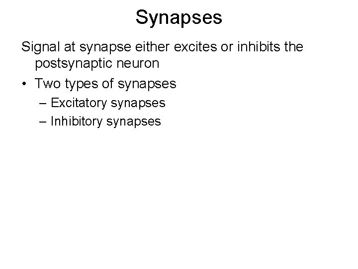 Synapses Signal at synapse either excites or inhibits the postsynaptic neuron • Two types