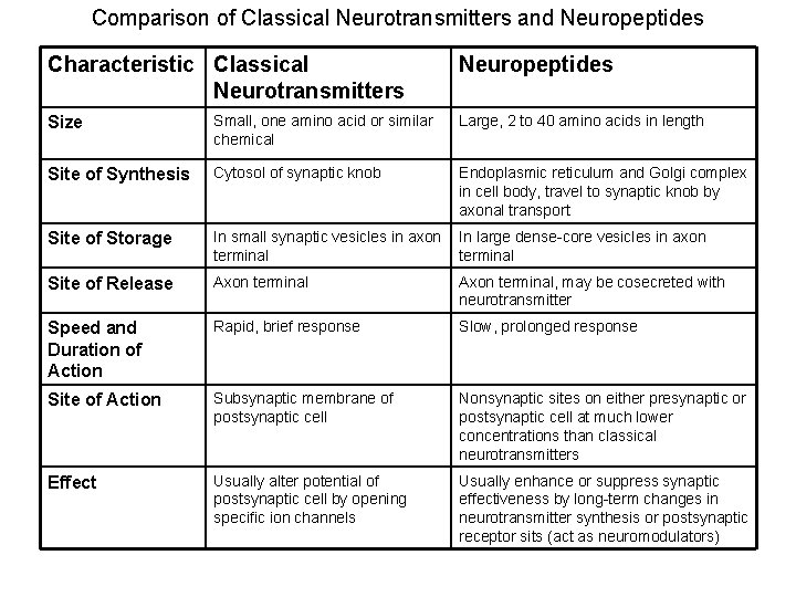 Comparison of Classical Neurotransmitters and Neuropeptides Characteristic Classical Neurotransmitters Neuropeptides Size Small, one amino