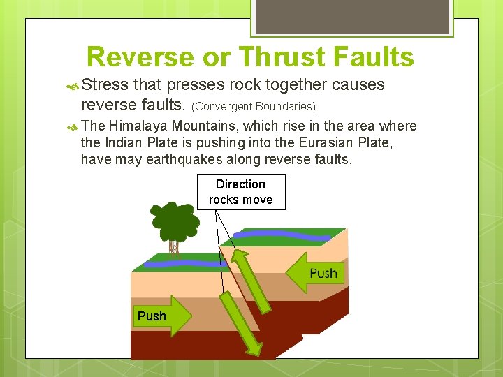 Reverse or Thrust Faults Stress that presses rock together causes reverse faults. (Convergent Boundaries)