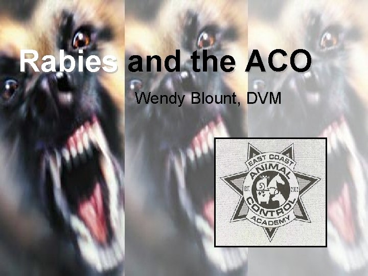 Rabies and the ACO Wendy Blount, DVM 