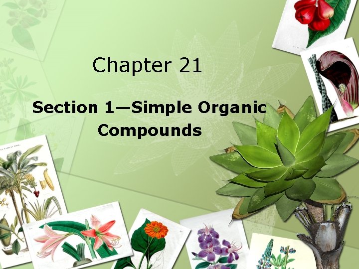 Chapter 21 Section 1—Simple Organic Compounds 