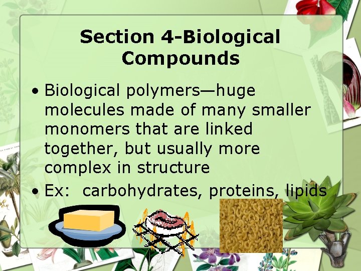 Section 4 -Biological Compounds • Biological polymers—huge molecules made of many smaller monomers that