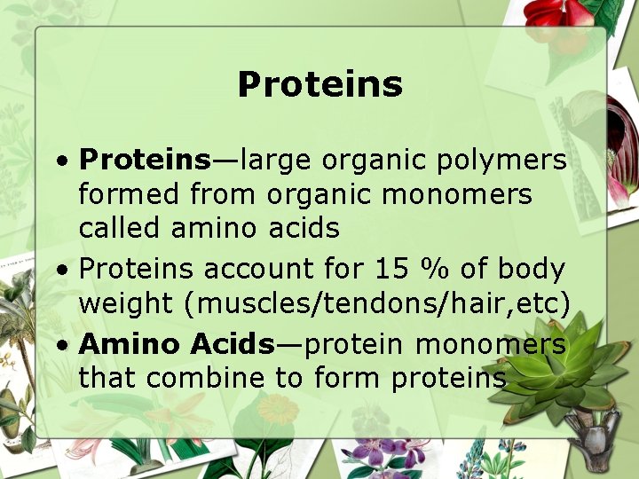 Proteins • Proteins—large organic polymers formed from organic monomers called amino acids • Proteins