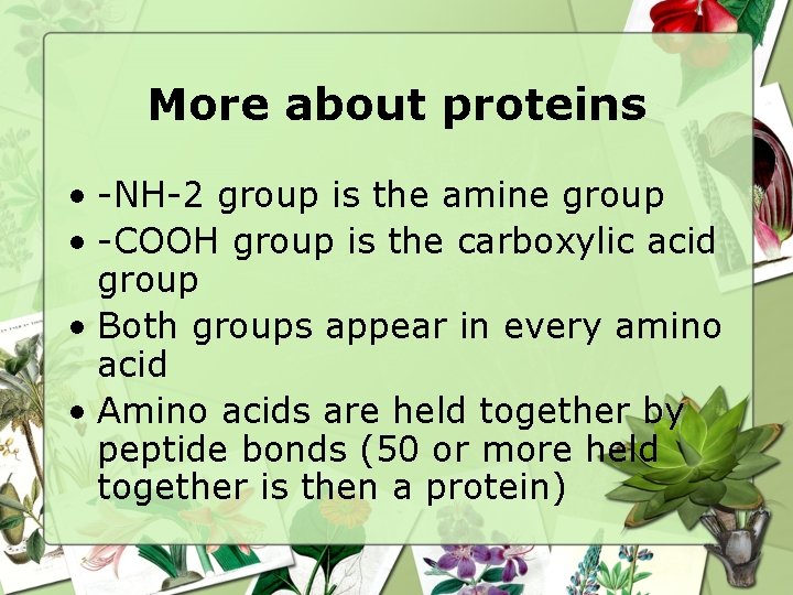 More about proteins • -NH-2 group is the amine group • -COOH group is