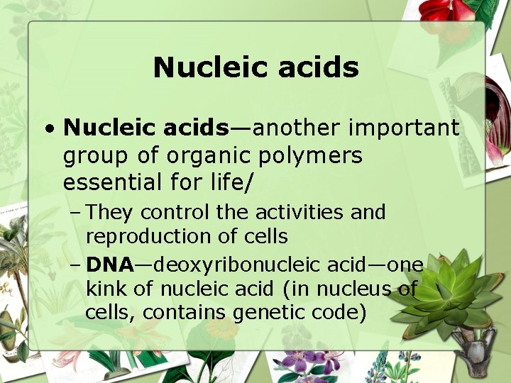 Nucleic acids • Nucleic acids—another important group of organic polymers essential for life/ –