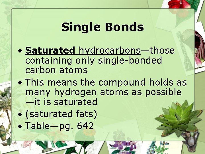 Single Bonds • Saturated hydrocarbons—those containing only single-bonded carbon atoms • This means the