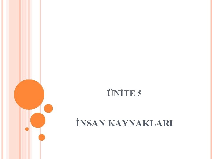 ÜNİTE 5 İNSAN KAYNAKLARI 