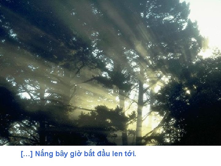 […] Nắng bây giờ bắt đầu len tới. 