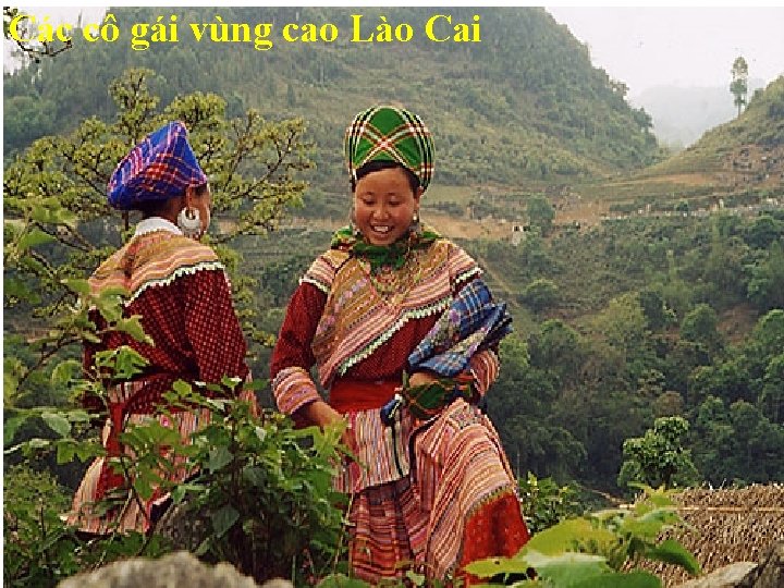 Các cô gái vùng cao Lào Cai 