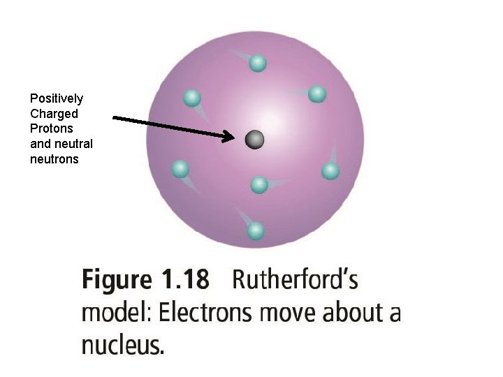 Positively Charged Protons and neutral neutrons 