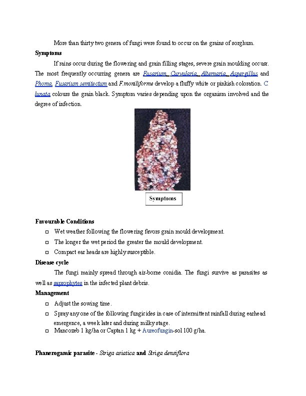 More than thirty two genera of fungi were found to occur on the grains