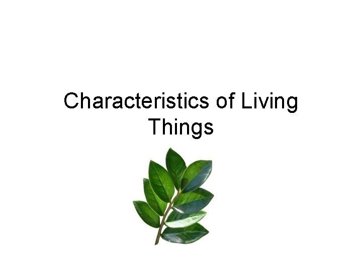 Characteristics of Living Things 