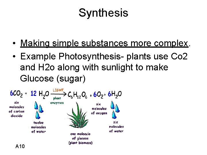 Synthesis • Making simple substances more complex. • Example Photosynthesis- plants use Co 2