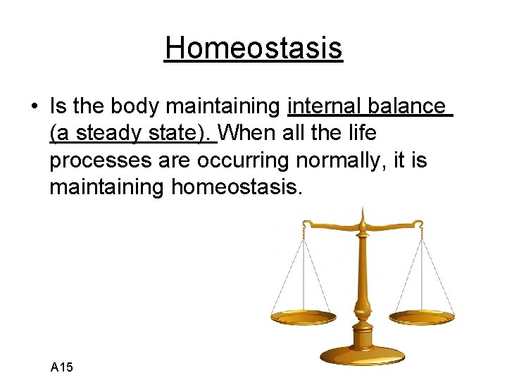 Homeostasis • Is the body maintaining internal balance (a steady state). When all the