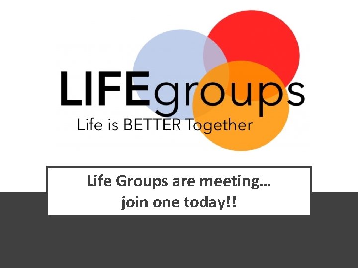 Life Groups are meeting… join one today!! 
