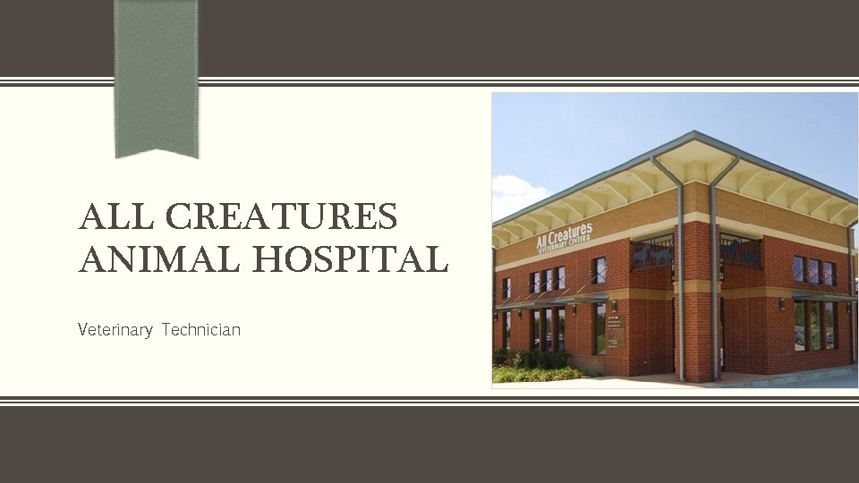 ALL CREATURES ANIMAL HOSPITAL Veterinary Technician 