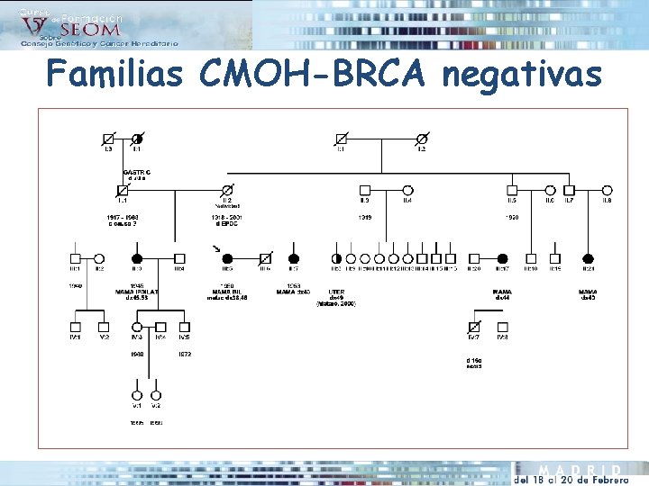 Familias CMOH-BRCA negativas 