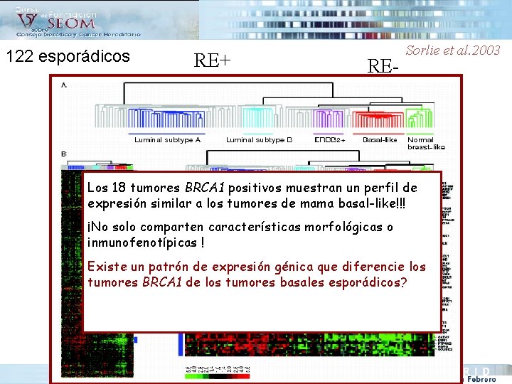 122 esporádicos RE+ RE- Sorlie et al. 2003 Los 18 tumores BRCA 1 positivos