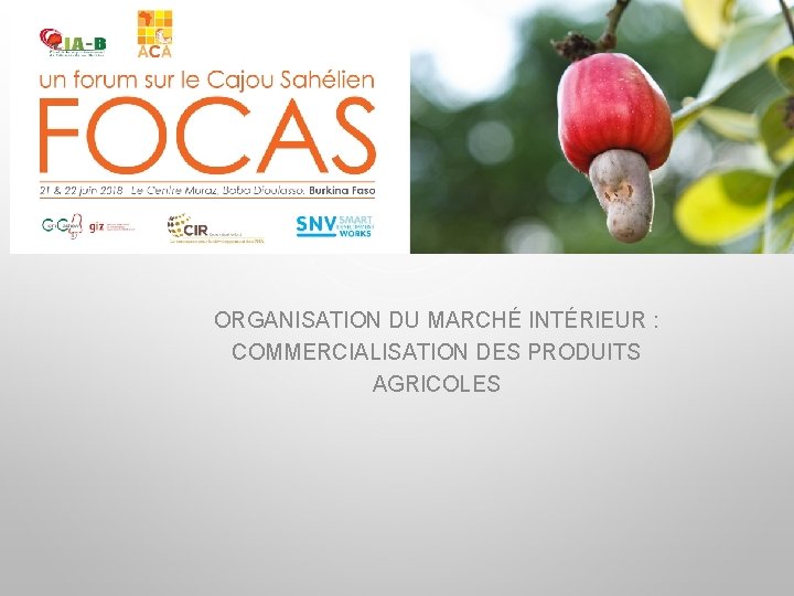 ORGANISATION DU MARCHÉ INTÉRIEUR : COMMERCIALISATION DES PRODUITS AGRICOLES 