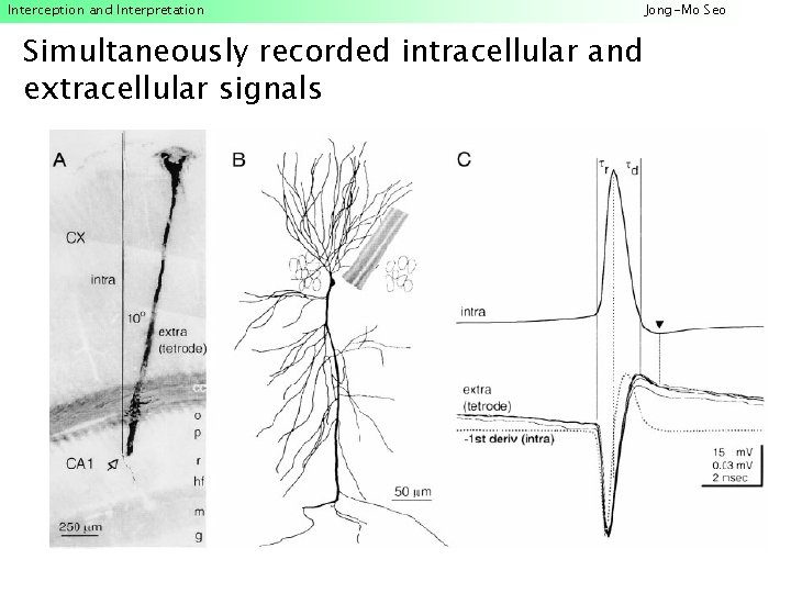 Interception and Interpretation Simultaneously recorded intracellular and extracellular signals Jong-Mo Seo 