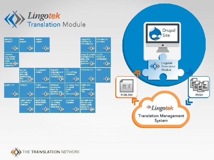 THE TRANSLATION NETWORK 