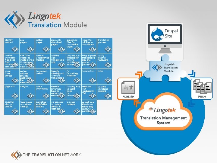 THE TRANSLATION NETWORK 