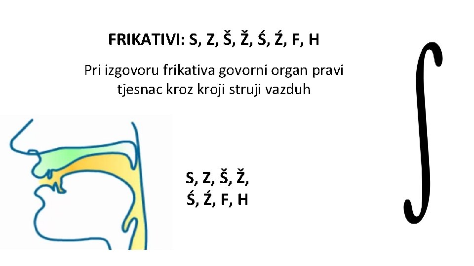 FRIKATIVI: S, Z, Š, Ž, Ś, Ź, F, H Pri izgovoru frikativa govorni organ
