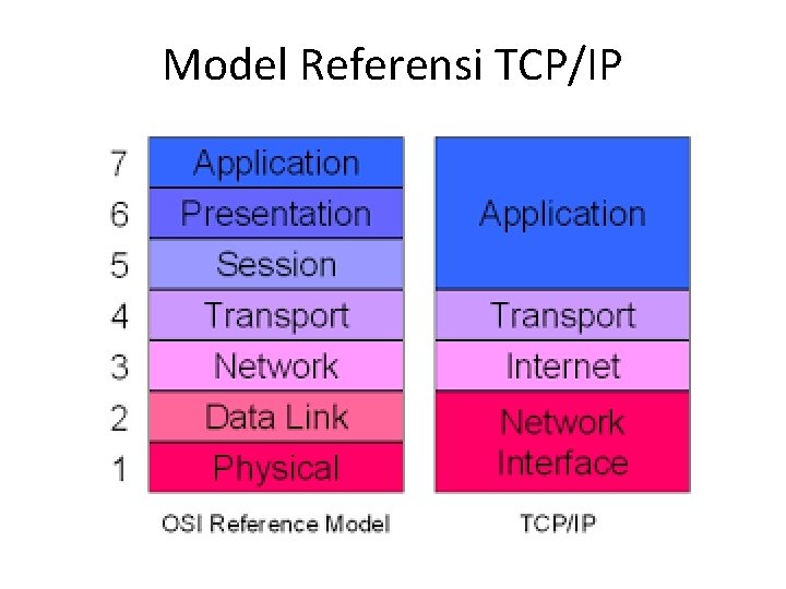 Model Referensi TCP/IP 