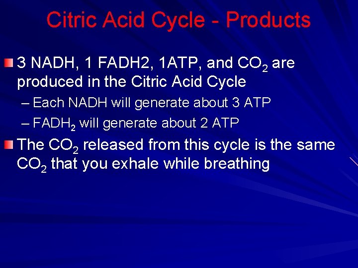 Citric Acid Cycle - Products 3 NADH, 1 FADH 2, 1 ATP, and CO