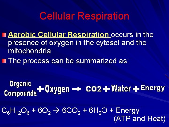 Cellular Respiration Aerobic Cellular Respiration occurs in the presence of oxygen in the cytosol