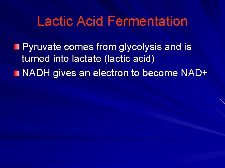 Lactic Acid Fermentation Pyruvate comes from glycolysis and is turned into lactate (lactic acid)