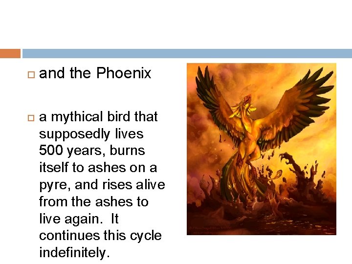  and the Phoenix a mythical bird that supposedly lives 500 years, burns itself