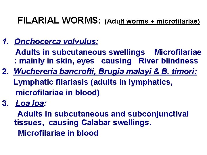 FILARIAL WORMS: (Adult worms + microfilariae) 1. Onchocerca volvulus: Adults in subcutaneous swellings Microfilariae FILARIAL WORMS: (Adult worms + microfilariae) 1. Onchocerca volvulus: Adults in subcutaneous swellings Microfilariae