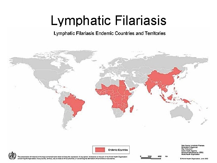 Lymphatic Filariasis Lymphatic Filariasis
