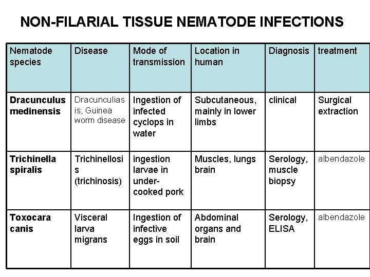 NON-FILARIAL TISSUE NEMATODE INFECTIONS Nematode species Disease Mode of transmission Location in human Diagnosis NON-FILARIAL TISSUE NEMATODE INFECTIONS Nematode species Disease Mode of transmission Location in human Diagnosis