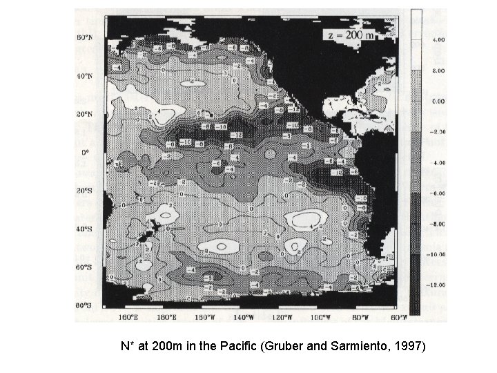 N* at 200 m in the Pacific (Gruber and Sarmiento, 1997) 