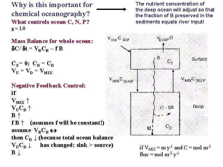 Why is this important for chemical oceanography? What controls ocean C, N, P? The