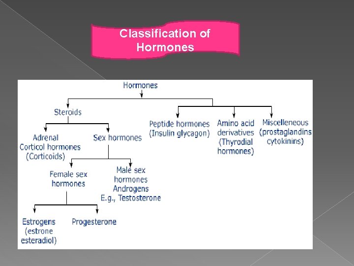 Classification of Hormones 