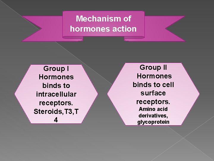 Mechanism of hormones action Group I Hormones binds to intracellular receptors. Steroids, T 3,
