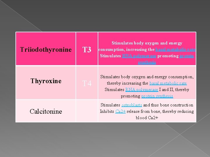 Triiodothyronine Thyroxine Calcitonine T 3 T 4 Stimulates body oxygen and energy consumption, increasing