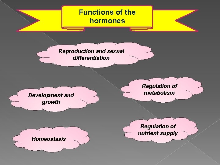 Functions of the hormones Reproduction and sexual differentiation Development and growth Homeostasis Regulation of