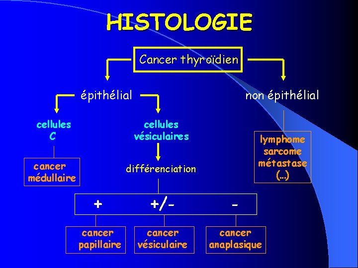 HISTOLOGIE Cancer thyroïdien épithélial non épithélial cellules C cellules vésiculaires cancer médullaire différenciation lymphome