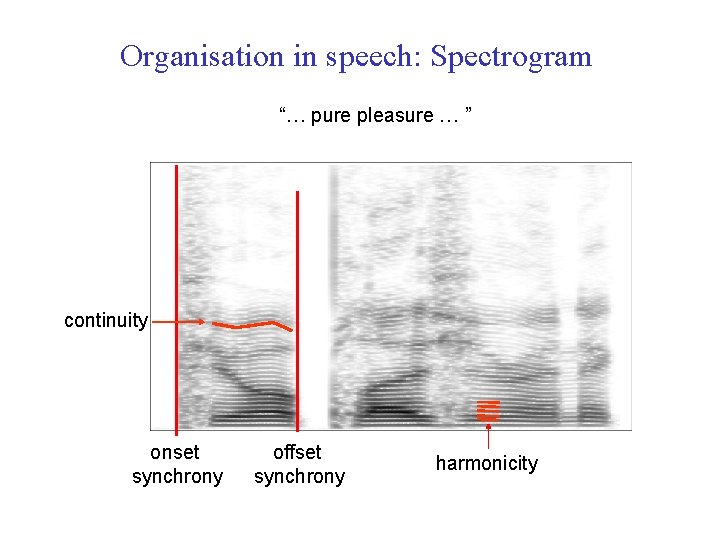 Organisation in speech: Spectrogram “… pure pleasure … ” continuity onset synchrony offset synchrony