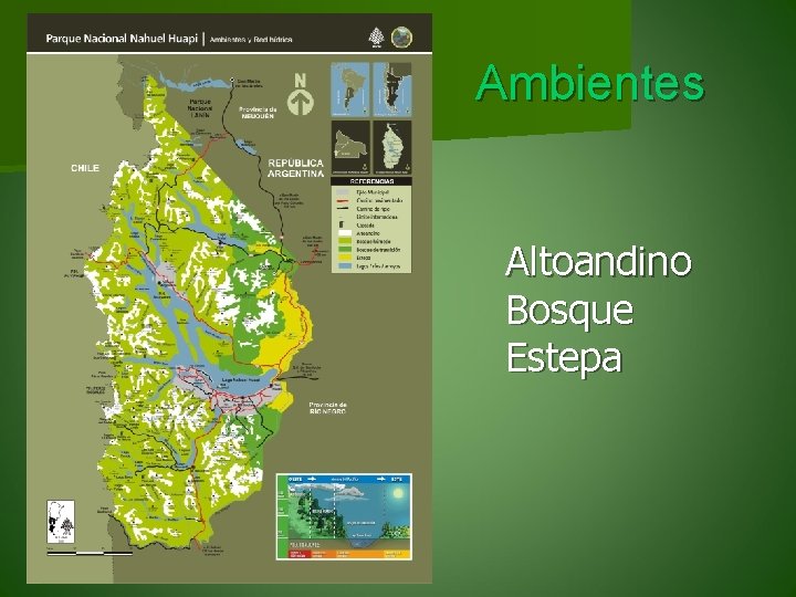Ambientes Altoandino Bosque Estepa 