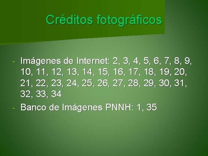 Créditos fotográficos Imágenes de Internet: 2, 3, 4, 5, 6, 7, 8, 9, 10,