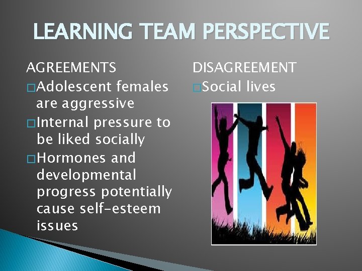 LEARNING TEAM PERSPECTIVE AGREEMENTS � Adolescent females are aggressive � Internal pressure to be