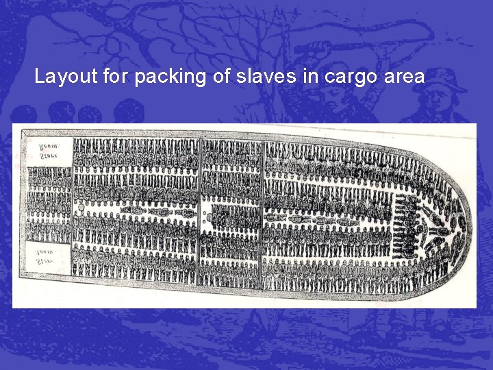 Layout for packing of slaves in cargo area 
