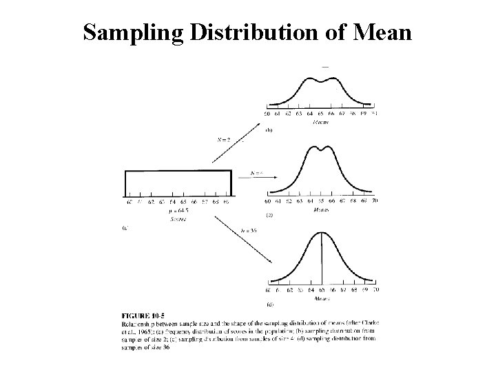 Sampling Distribution of Mean 