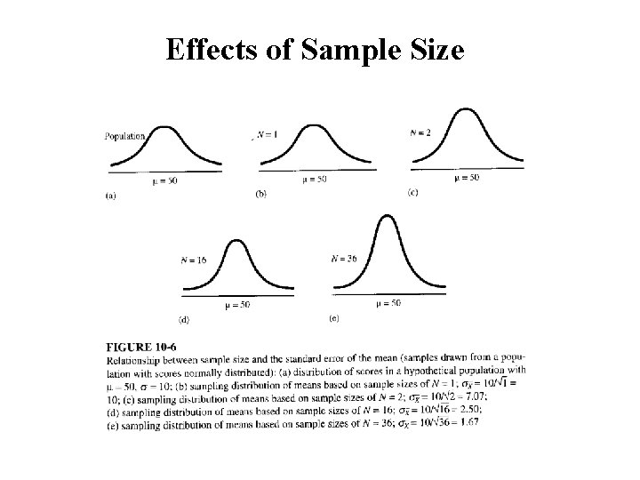 Effects of Sample Size 